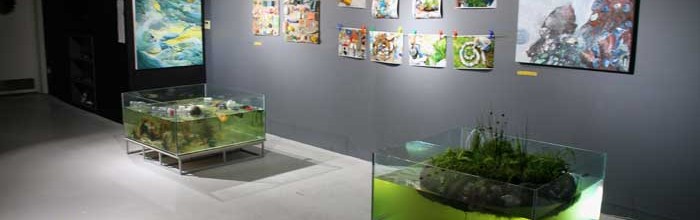 Flotsam Island Ecosystem